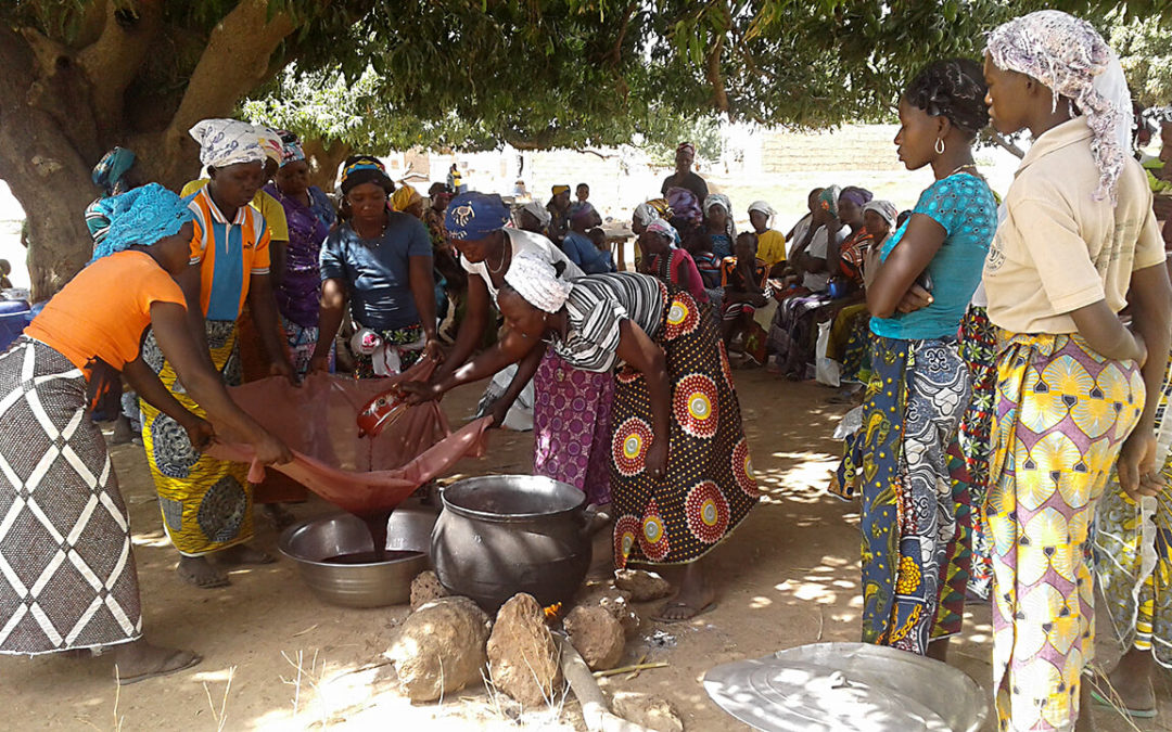 Interview avec l’association ‘Graine de Baobab’